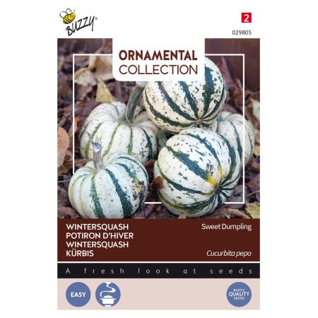 Buzzy Ornamental Wintersquash Sweet Dumpling - Ca. 1 gr