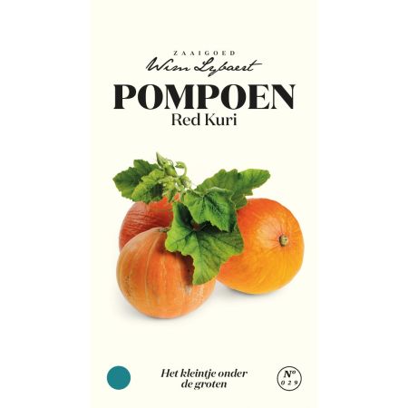 Pompoen Red Kuri - Wim Lybaert Zaaigoed - Het kleintje onder de groten - Ca. 3 gr
