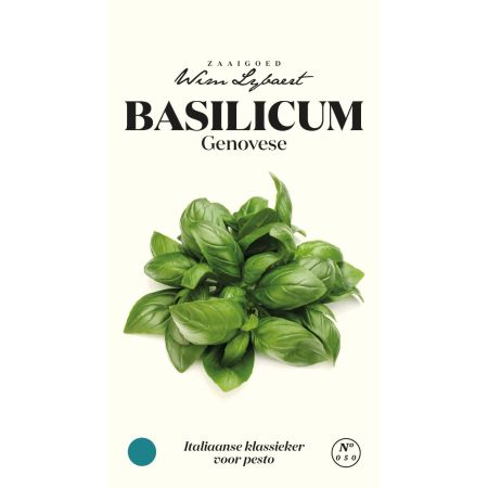 Basilicum Genovese - Wim Lybaert Zaaigoed - Italiaanse klassieker voor pesto - Ca. 1 gr