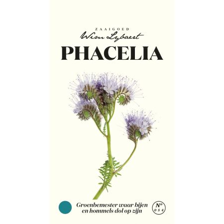 Phacelia - Wim Lybaert Zaaigoed - De verfijnde dame onder de kolen - Ca. 8 gr