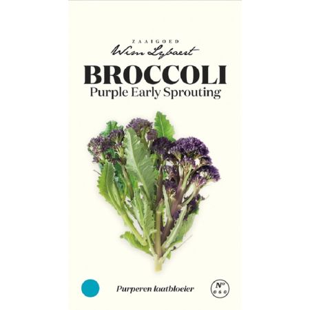 Broccoli Early Sprouting - Wim Lybaert Zaaigoed - Purperen laatbloeier