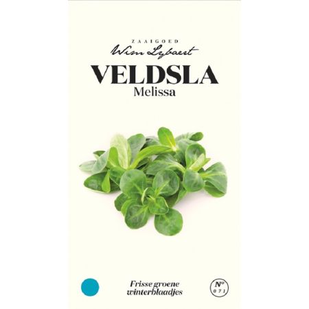 Veldsla Melissa - Wim Lybaert Zaaigoed - Frisse groene winterblaadjes