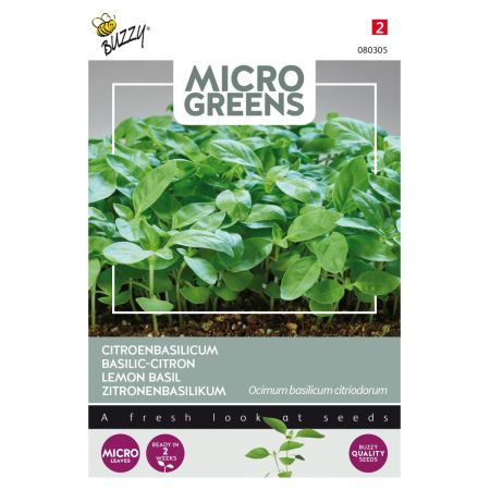 Buzzy Microgreens, Citroenbasilicum - Ca. 1 gr