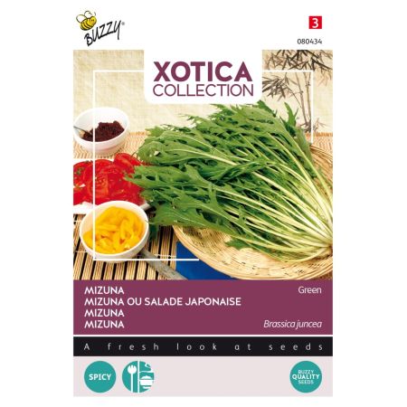 Buzzy Xotica Mizuna, Japanse salade - Ca. 10 gr