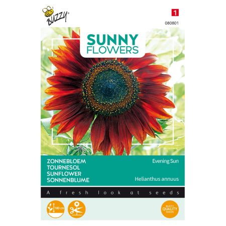 Buzzy Sunny Flowers, Zonnebloem Avondzon - Ca. 4 gr