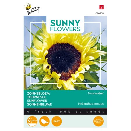 Buzzy Sunny Flowers, Zonnebloem Moonwalker - Ca. 2.5 gr