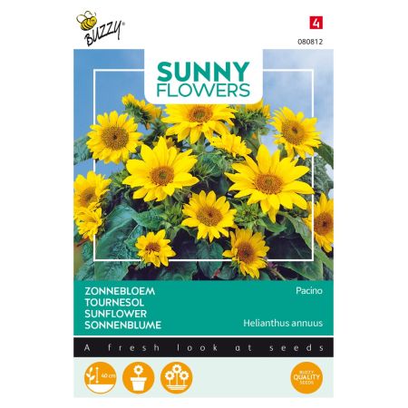 Buzzy Sunny Flowers, Zonnebloem Pacino Gold - Ca. 0.75 gr