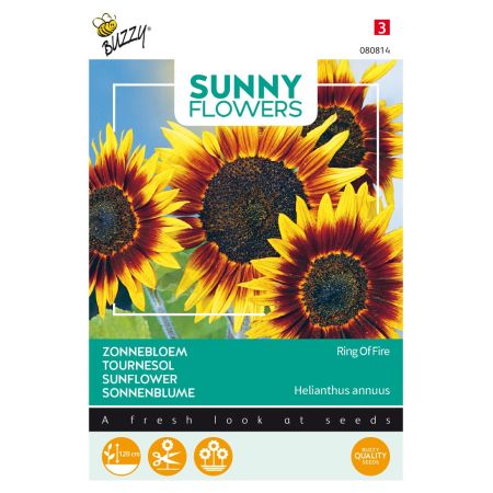 Buzzy Sunny Flowers, Zonnebloem Ring of Fire - Ca. 0.75 gr