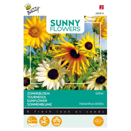 Buzzy Sunny Flowers, Zonnebloem Esther - Ca. 1 gr