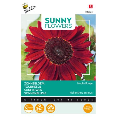 Buzzy Sunny Flowers, Zonnebloem Moulin Rouge - Ca. 1 gr