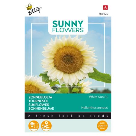 Buzzy Sunny Flowers, Zonnebloem White Sun F1 - Ca. 6 zaden