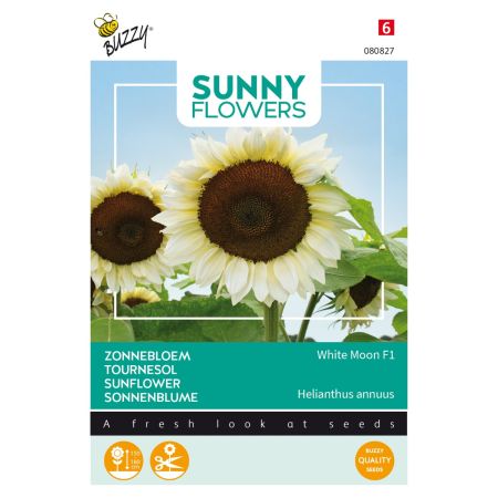 Buzzy Sunny Flowers, Zonnebloem White Moon F1 - Ca. 6 zaden
