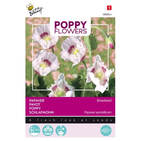 Buzzy Poppy Flowers, Papaver Blauwmaanzaad - Ca. 1 gr