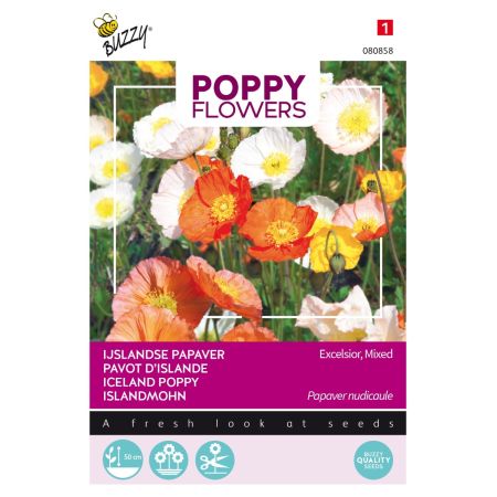 Buzzy Poppy Flowers, IJslandse papaver - Ca. 0.5 gr