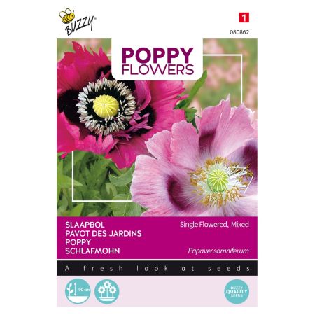 Buzzy Poppy Flowers, Papaver slaapbol - Ca. 1 gr