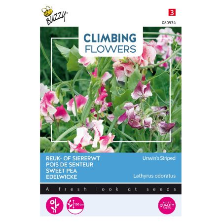 Buzzy Climbing Flowers, Lathyrus Unwin's Striped - Ca. 4 gr