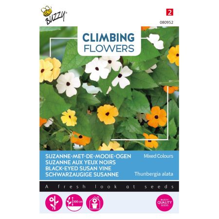Buzzy Climbing Flowers Thunbergia, Suzanne-met-mooie-ogen - Ca. 0.5 gr