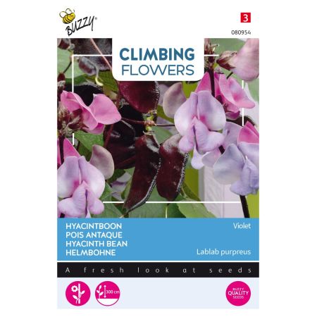 Buzzy Climbing Flowers, Dolichos lablab, Hyacinthboon - Ca. 3 gr