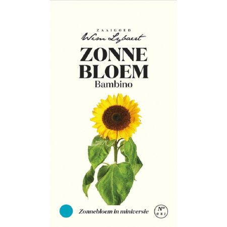Zonnebloem Bambino - Wim Lybaert Zaaigoed - Zonnebloem in miniversie