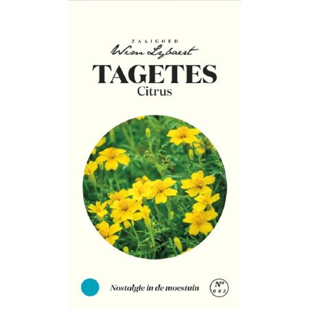 Tagetes Citrus - Wim Lybaert Zaaigoed - Nostalgie in de moestuin