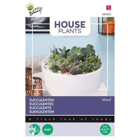 Buzzy House Plants Mixed Succulents, vetplanten - Ca. 7 zaden, vetplanten