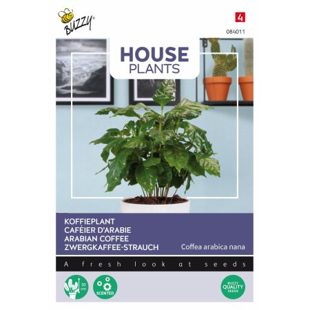 Buzzy House Plants Coffea Arabica, Koffieplant - Ca. 15 zaden