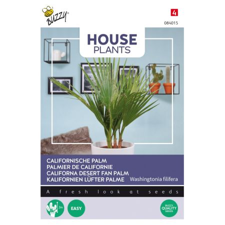 Buzzy House Plants Californische palm - Ca. 1 gr