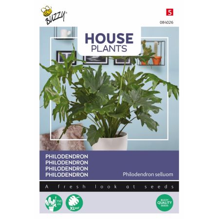 Buzzy House Plants Philodendron Selluom - Ca. 20 zaden