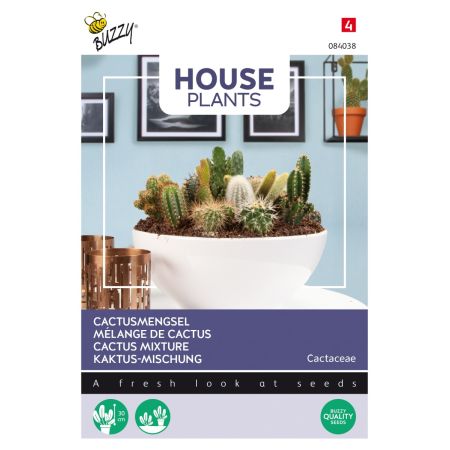 Buzzy House Plants Cactus mengsel - Ca. 0.2 gr