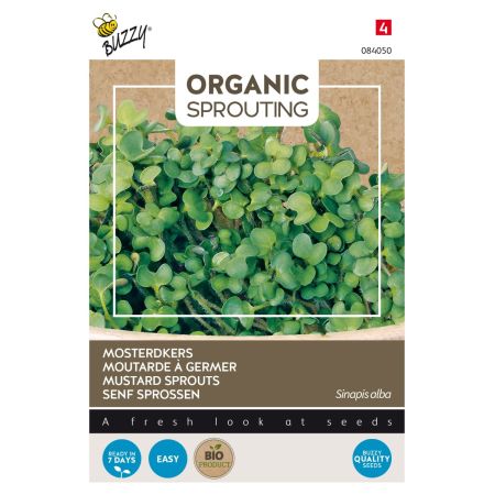 Buzzy Organic Sprouting Mosterdkers  (BIO) - Ca. 30 gr
