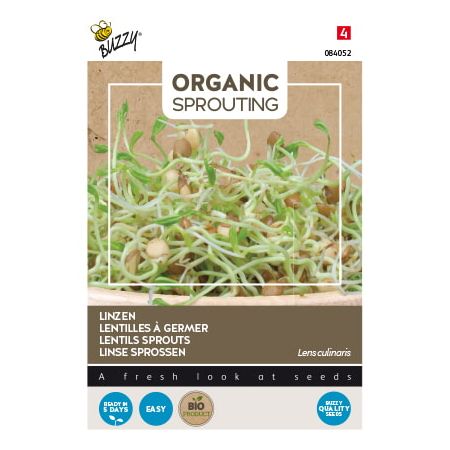 Buzzy Organic Sprouting Linzen  (BIO) - Ca. 30 gr