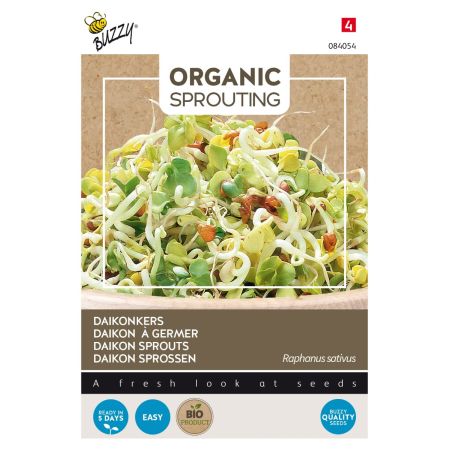 Buzzy Organic Sprouting Daikonkers  (BIO) - Ca. 30 gr