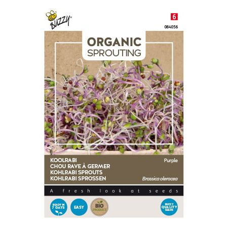 Buzzy Organic Sprouting Koolrabi blauwpaars (BIO) - Ca. 20 gr