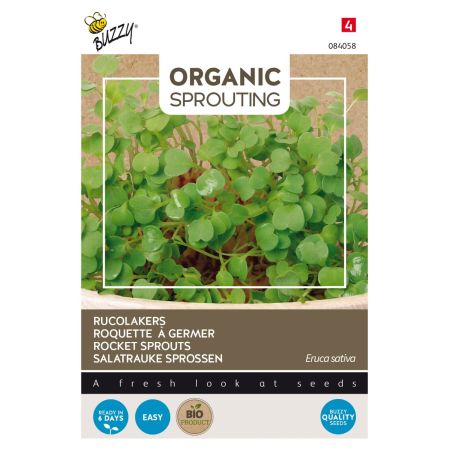 Buzzy Organic Sprouting Rucolakers  (BIO) - Ca. 30 gr