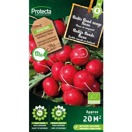 Radijs Ronde Rode Saxa 2 Bio -  Protecta Traditionele Reproduceerbare Autenthentieke Zaden