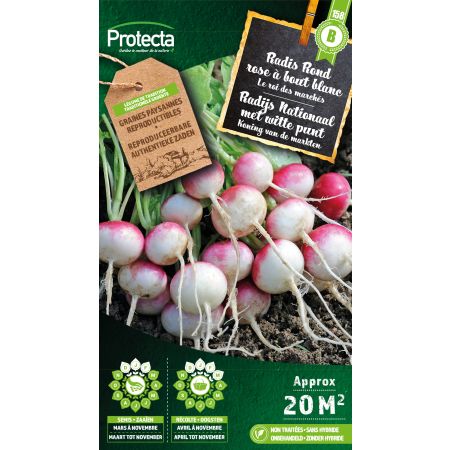 Radijs Ronde met witte punt - Protecta Traditionele Reproduceerbare Autenthentieke Zaden