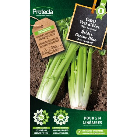 Selder Groene Elne - Protecta Traditionele Reproduceerbare Autenthentieke Zaden