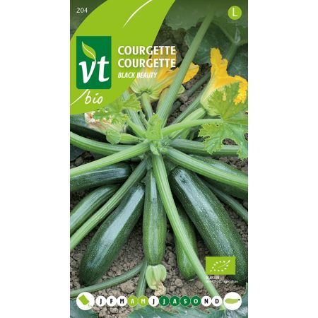 Courgette Black Beauty Bio - Ca. 1.5 gr