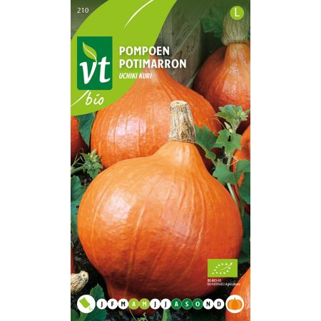 Pompoen Uchiki Kuri Bio - Ca. 2 gr