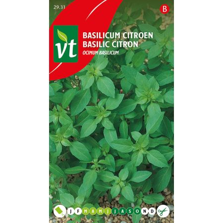 Basilicum Citroen - Ca. 0.75 gr