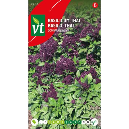 Basilicum Thai - Ca. 0.4 gr