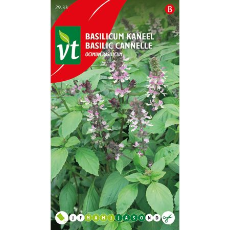 Basilicum Kaneel - Ca. 0.5 gr
