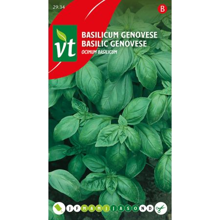 Basilicum Genovese - Ca. 1 gr