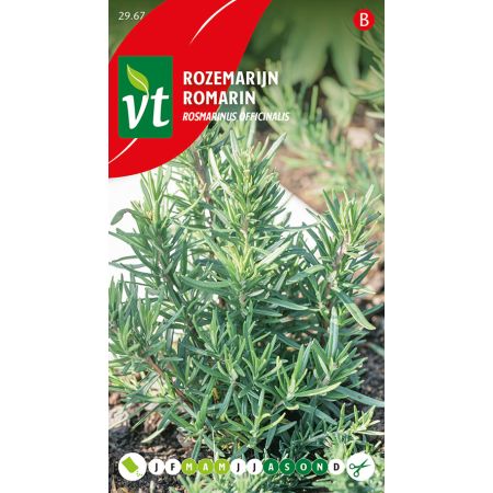 Rozemarijn - Ca. 0.2 gr