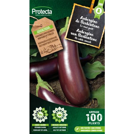 Aubergine van Barbentane - Protecta Traditionele Reproduceerbare Autenthentieke Zaden