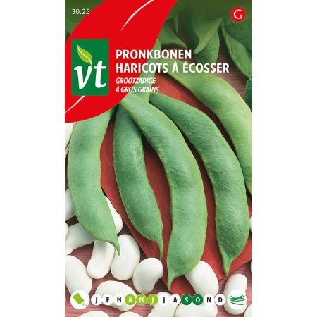 Pronkbonen Grootzadige doosje - Ca. 150 gr