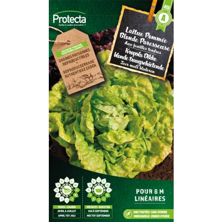 Kropsla Dikke blonde traagschietende - Protecta Traditionele Reproduceerbare Autenthentieke Zaden