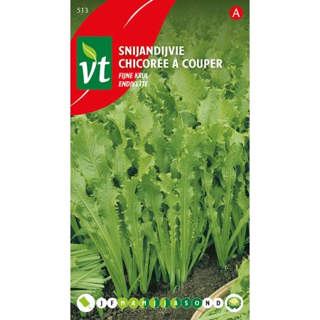 Andijvie Snij Fijne Krul - Ca. 3 gr