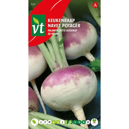 Keukenraap Milanese witte roodkop - Ca. 6 gr
