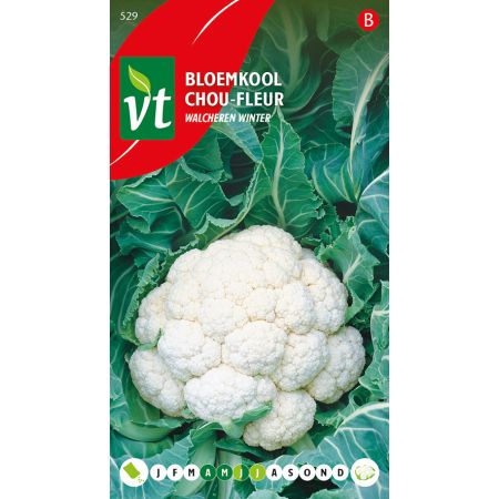 Bloemkool Walcheren Winter - Ca. 0.5 gr